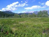 Seefeld (5) 